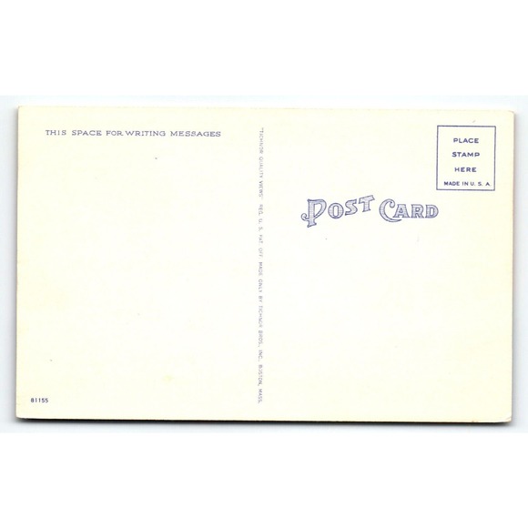 Greetings From Cayuga Lake George New York Large Big Letter Linen Postcard NY - Picture 2 of 2